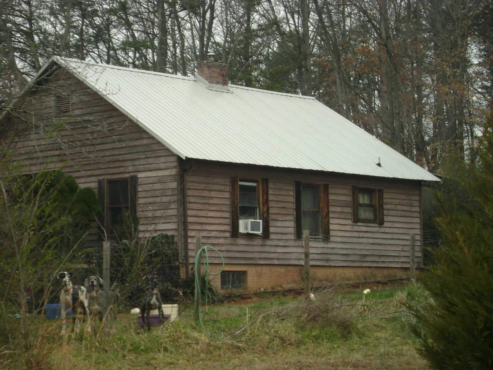 White metal roof on an old wood sided farmhouse, from a Asphalt Shingle Roof Repair job in Arena